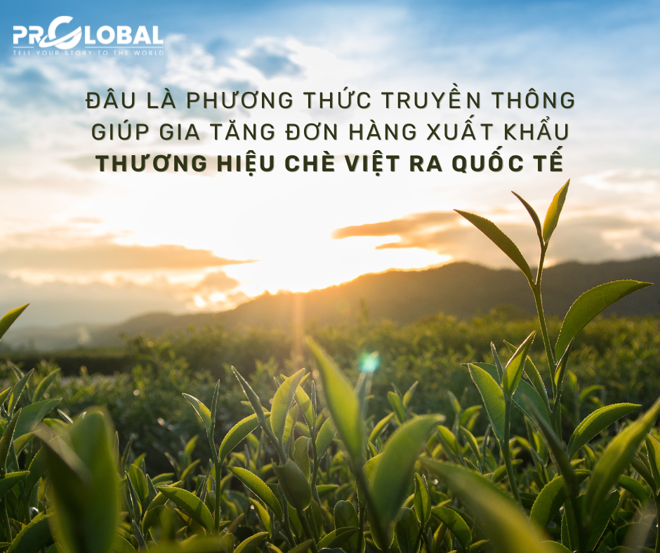 Đâu là phương thức truyền thông giúp gia tăng đơn hàng xuất khẩu thương hiệu chè Việt ra quốc tế