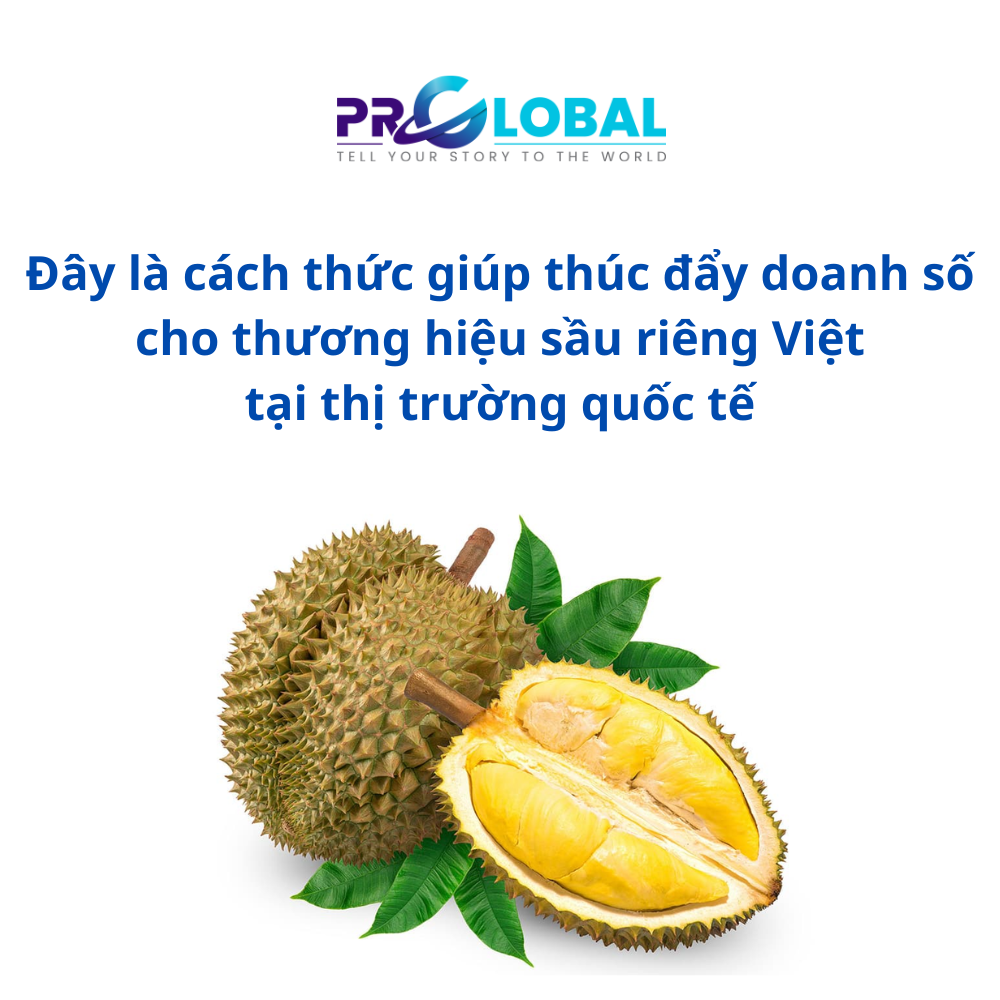 Đây là cách thức giúp thúc đẩy doanh số cho thương hiệu sầu riêng Việt tại thị trường quốc tế