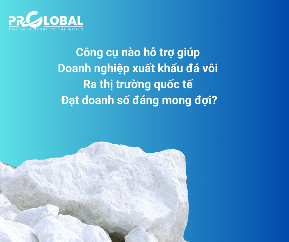 Công cụ nào hỗ trợ giúp doanh nghiệp xuất khẩu đá vôi ra thị trường quốc tế đạt doanh số đáng mong đợi?