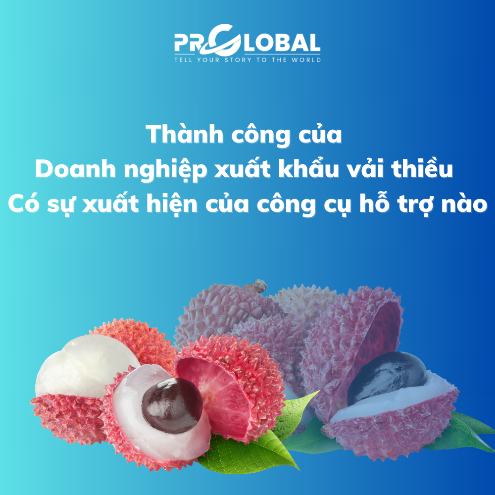 Thành công của doanh nghiệp xuất khẩu vải thiều có sự xuất hiện của công cụ hỗ trợ nào