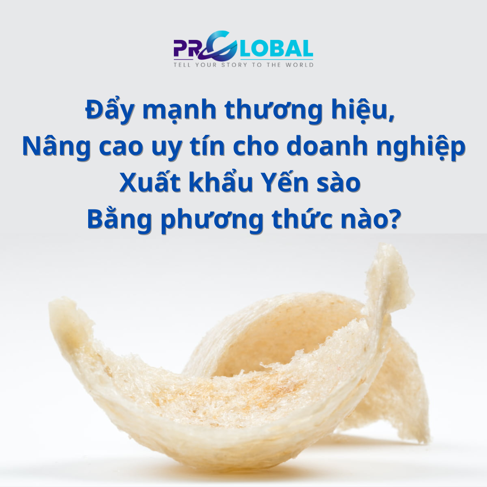 Đẩy mạnh thương hiệu, nâng cao uy tín cho doanh nghiệp xuất khẩu yến sào bằng phương thức nào