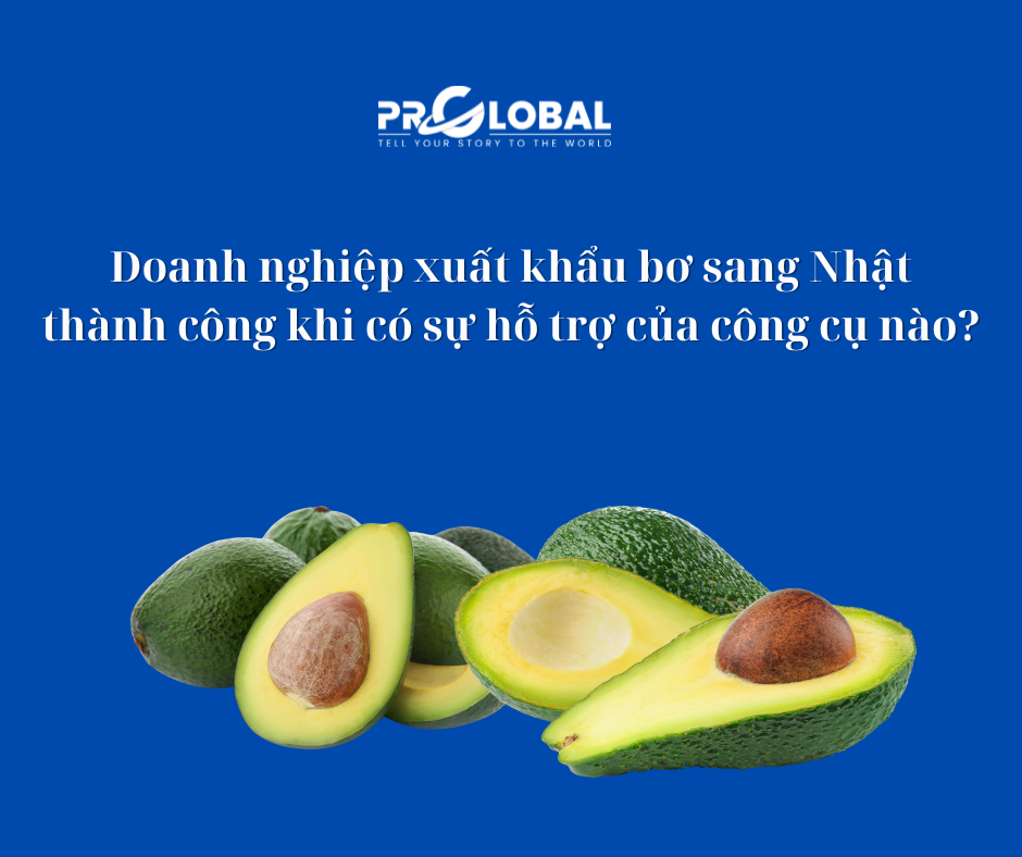 Doanh nghiệp xuất khẩu bơ sang Nhật thành công khi có sự hỗ trợ của công cụ nào?