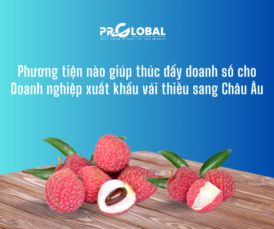 Phương tiện nào giúp thúc đẩy doanh số cho doanh nghiệp xuất khẩu vải thiều sang Châu Âu