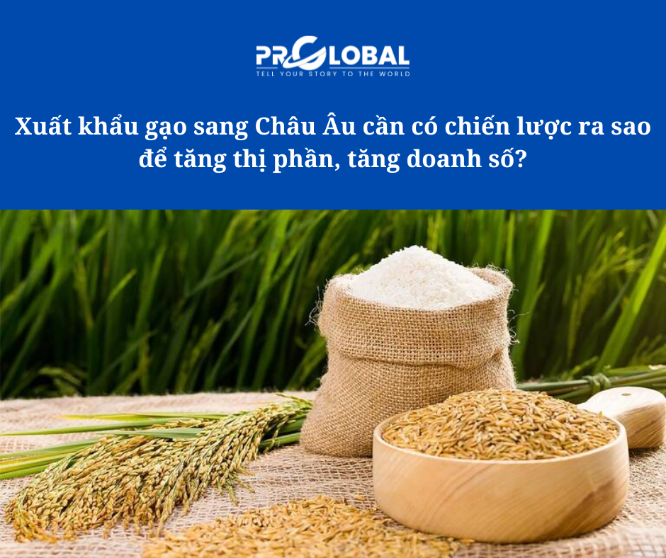 Xuất khẩu gạo sang Châu Âu cần có chiến lược ra sao để tăng thị phần, tăng doanh số?