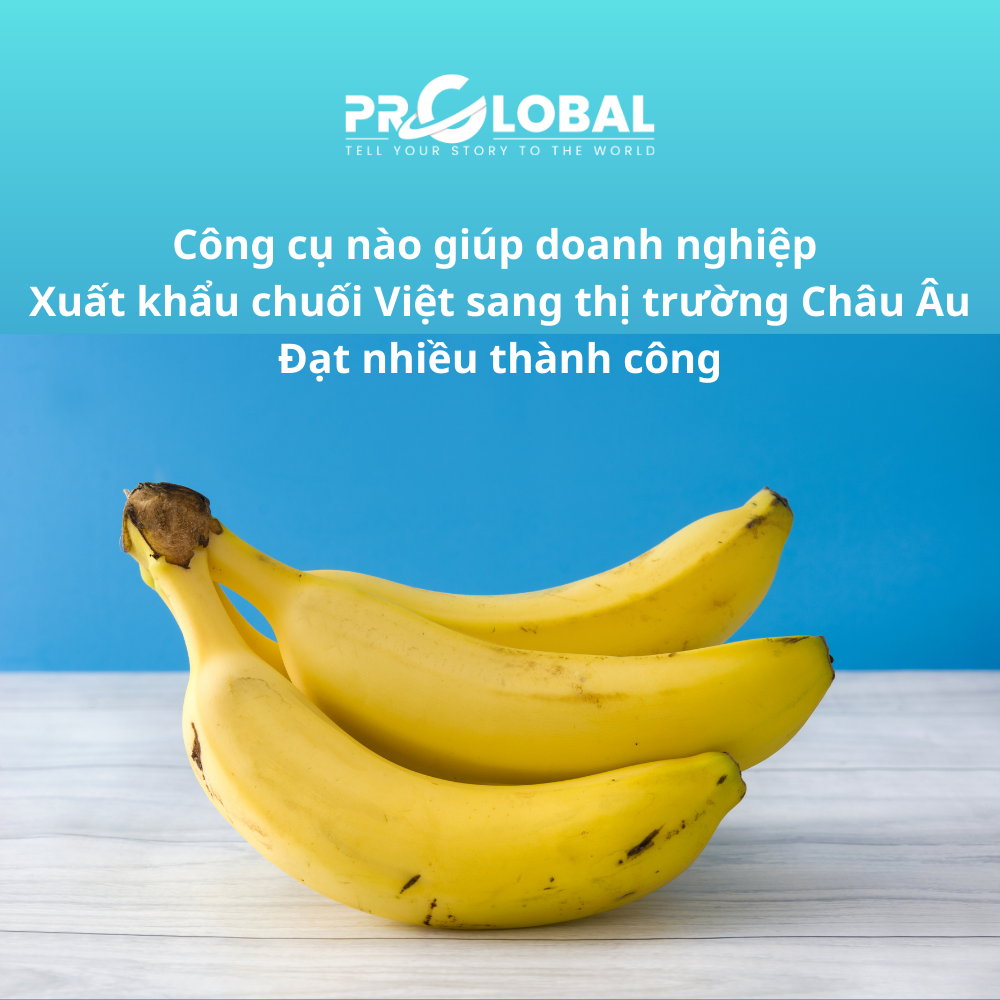 Công cụ nào giúp doanh nghiệp xuất khẩu chuối Việt sang thị trường Châu Âu đạt nhiều thành công