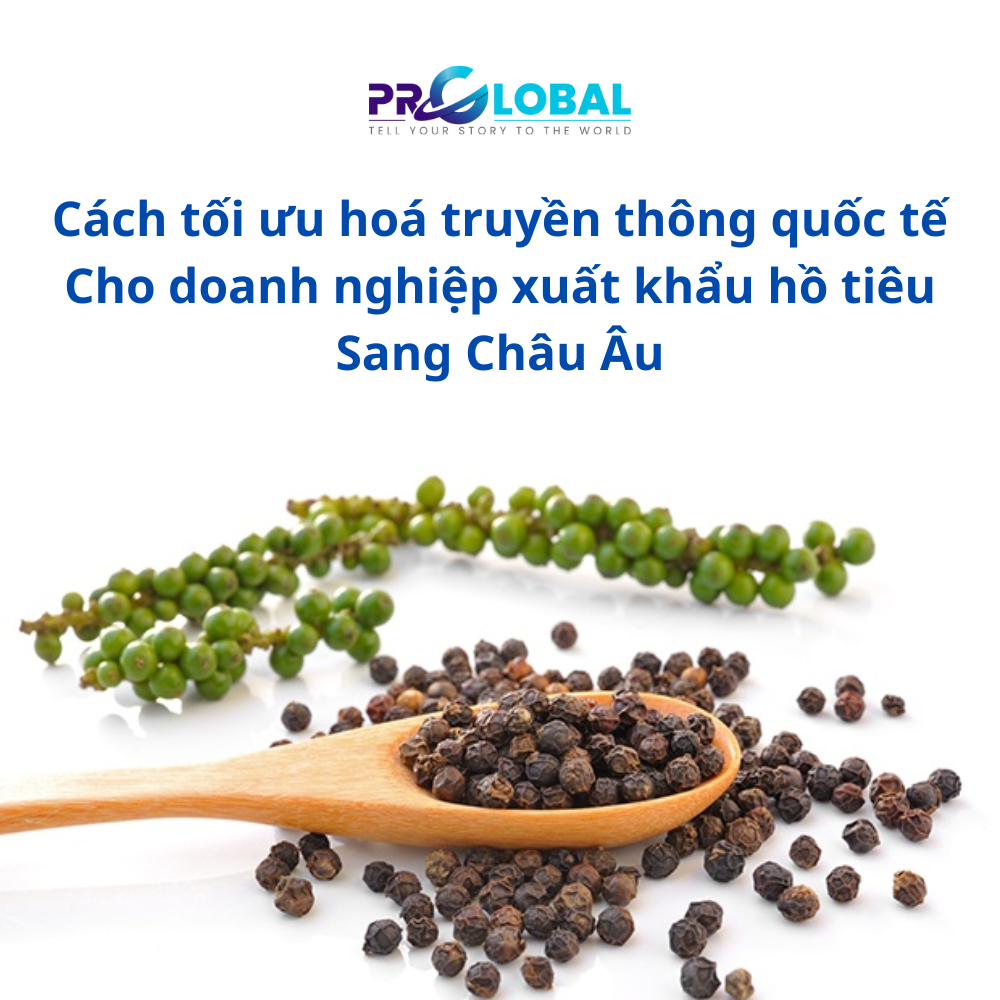 Cách tối ưu hoá truyền thông quốc tế dành cho xuất khẩu hồ tiêu sang Châu Âu