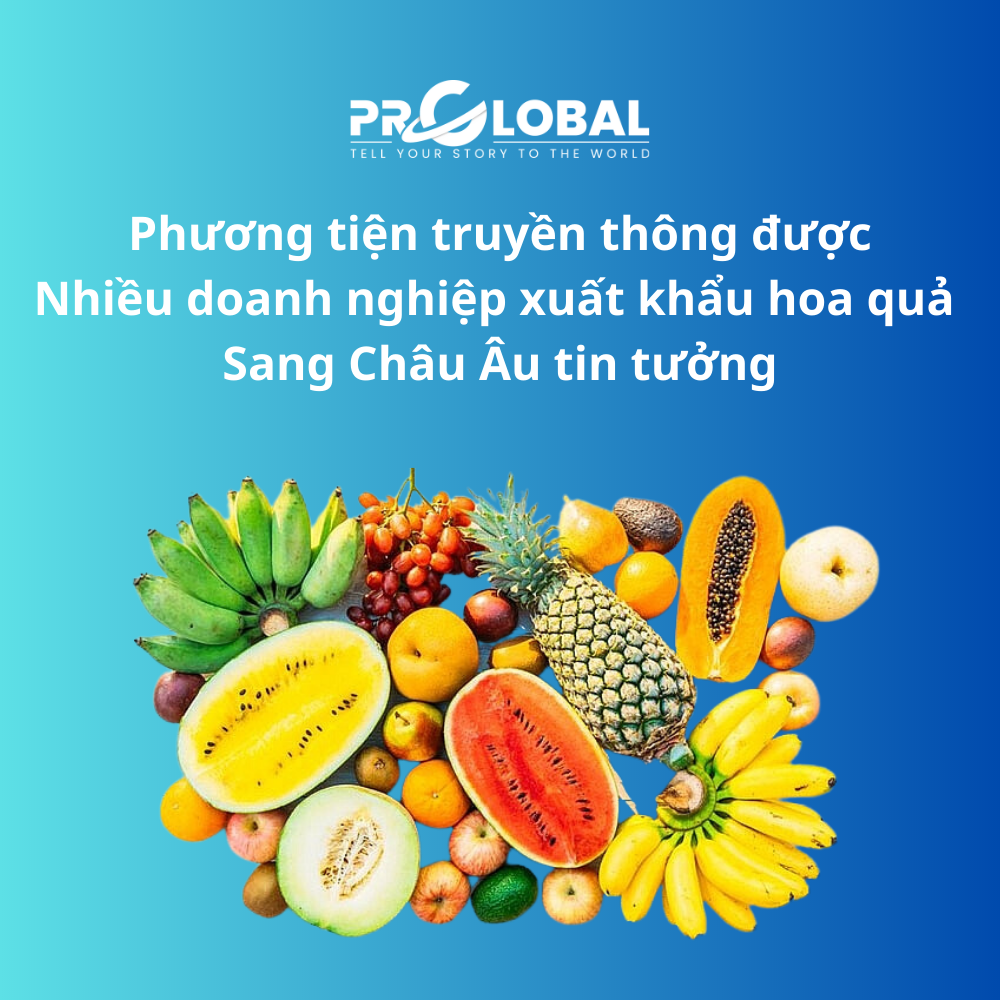 Phương tiện truyền thông được nhiều doanh nghiệp xuất khẩu hoa quả sang Châu Âu tin tưởng