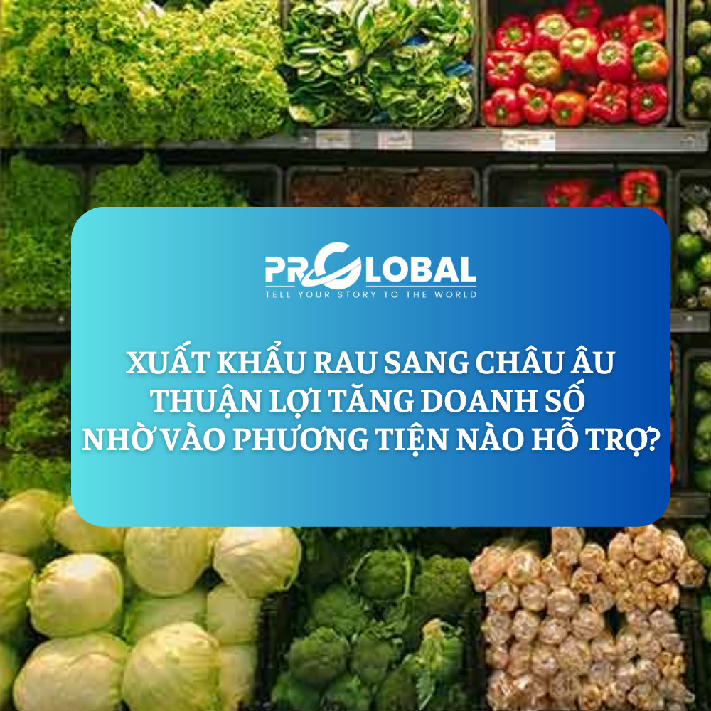 Xuất khẩu rau sang Châu Âu thuận lợi tăng doanh số nhờ vào phương tiện nào hỗ trợ?