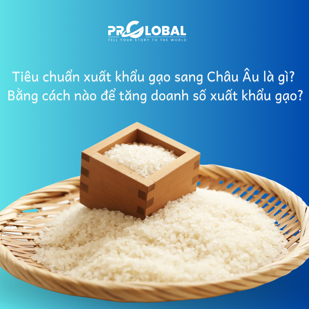 Tiêu chuẩn xuất khẩu gạo sang Châu Âu là gì? Bằng cách nào để tăng doanh số xuất khẩu gạo?